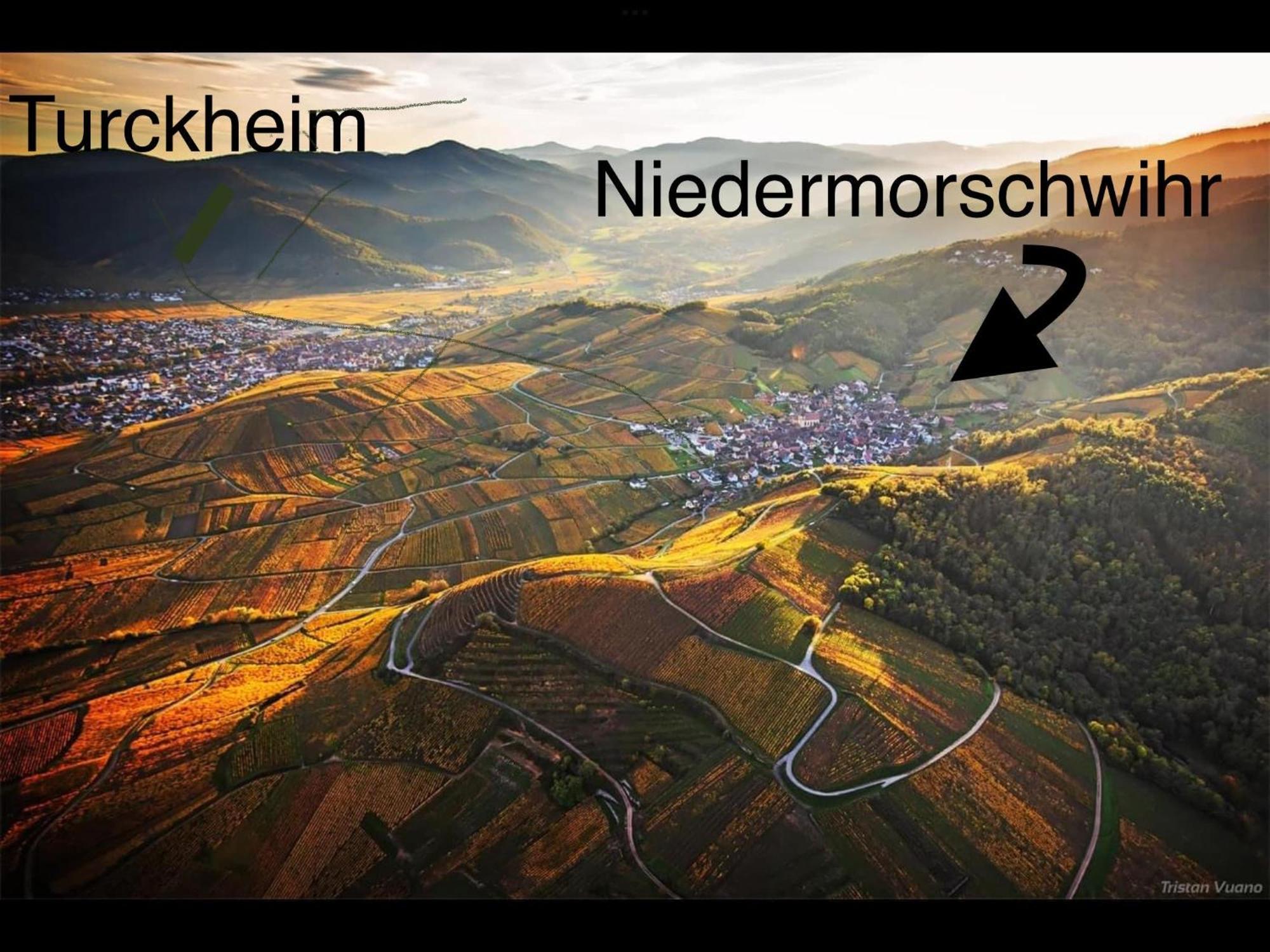 Caveau 1751 Niedermorschwihr Екстериор снимка